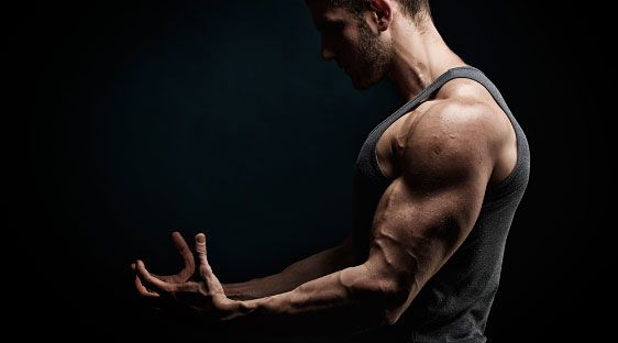 Gym Model 1